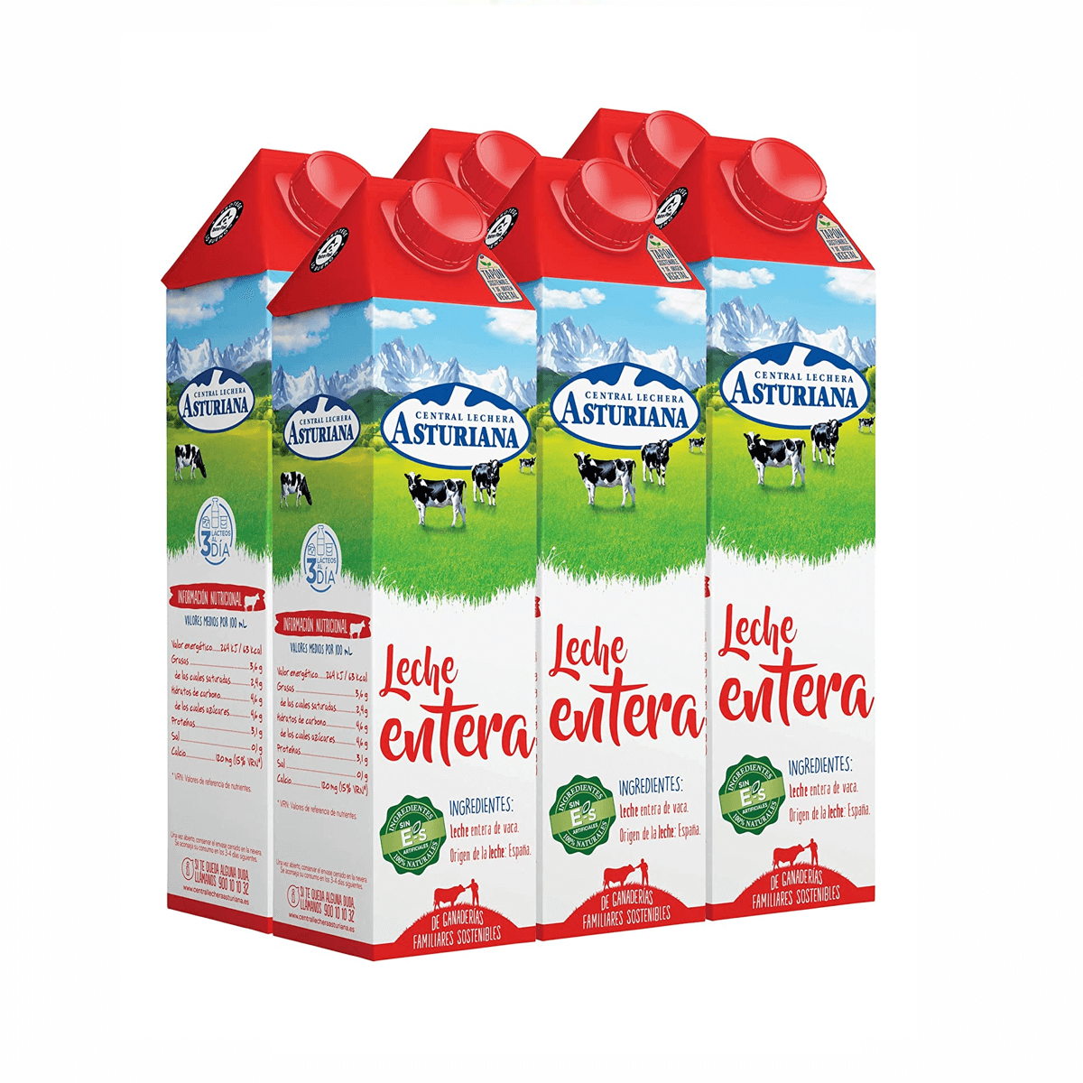 Asturian Whole Milk 6x1 L Pack