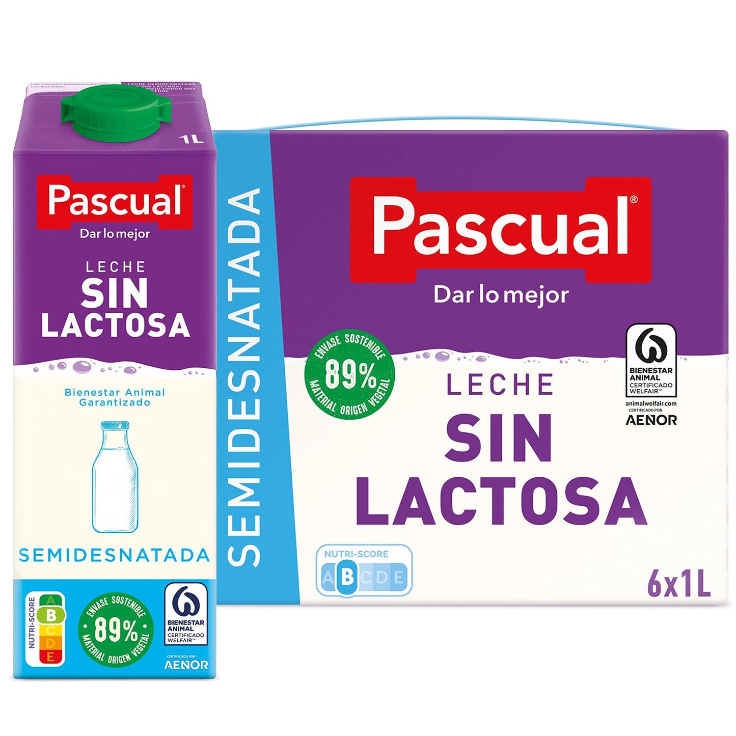 Leche Pascual Sin Lactosa 6x1 L