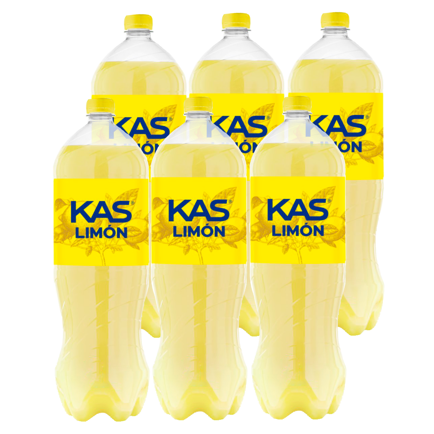 KAS Zitronenpackung 6x2L