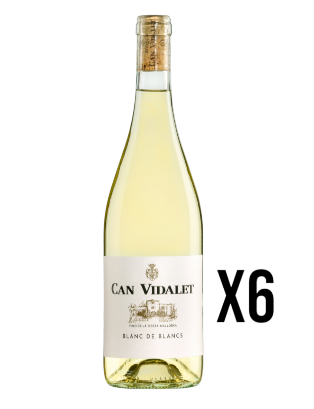 Blanc de Blancs Wine 75cl 2019 