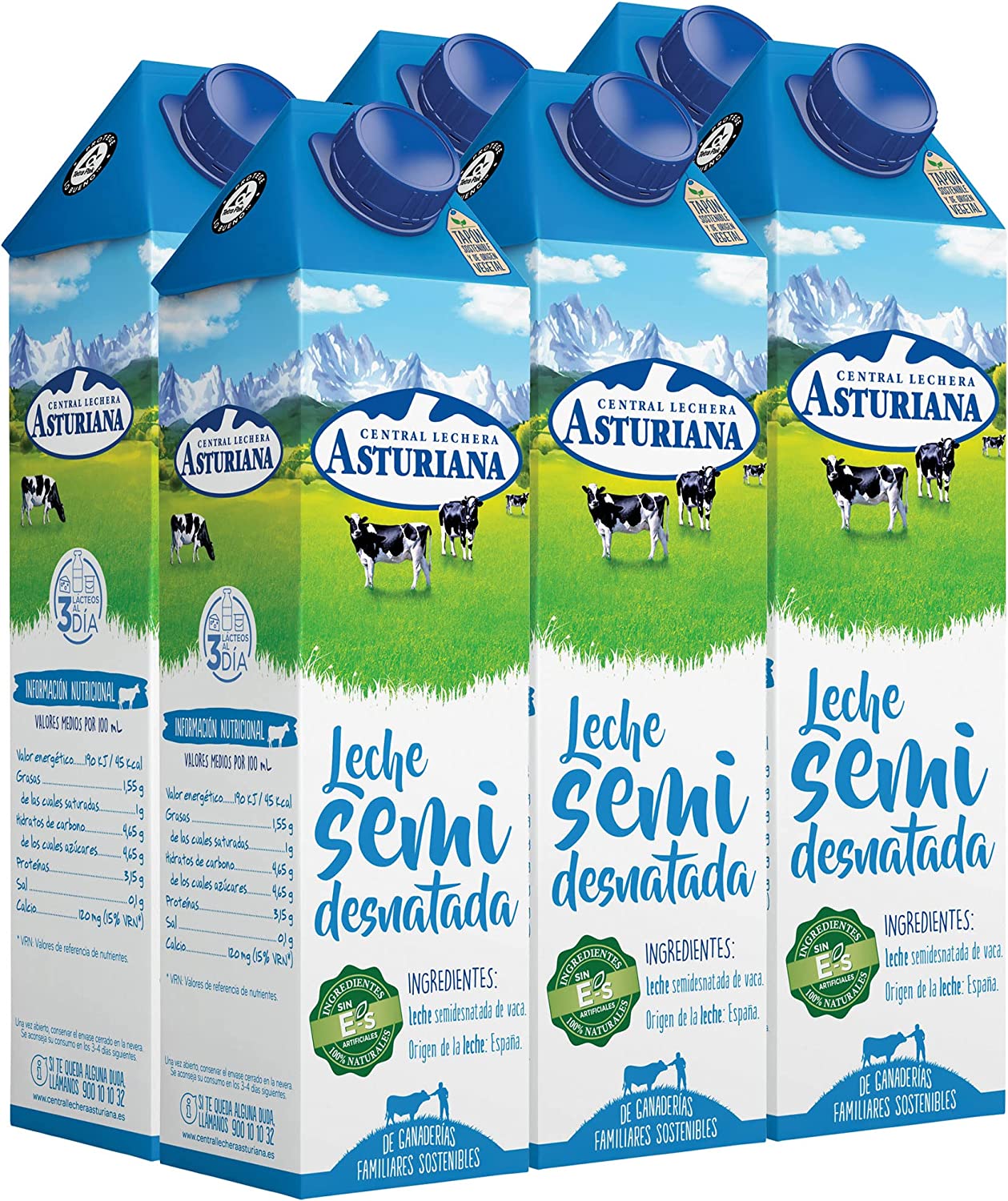 Asturische teilentrahmte Milch 6x1 L Packung