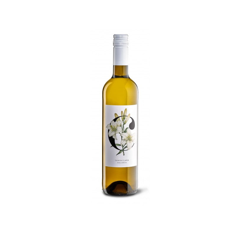 White wine Rueda Ramon Bilbao 75cl