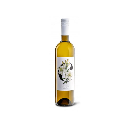 White wine Rueda Ramon Bilbao 75cl